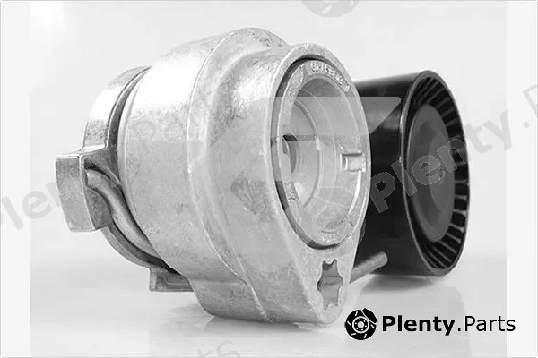 Hutchinson T0549 — Tensioner Pulley, V-ribbed belt
