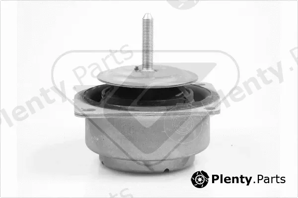 Hutchinson 535966 — Mounting, engine