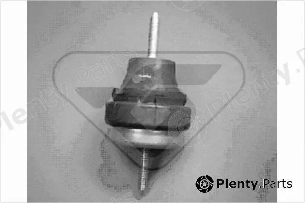 Hutchinson 586207 — Mounting, engine