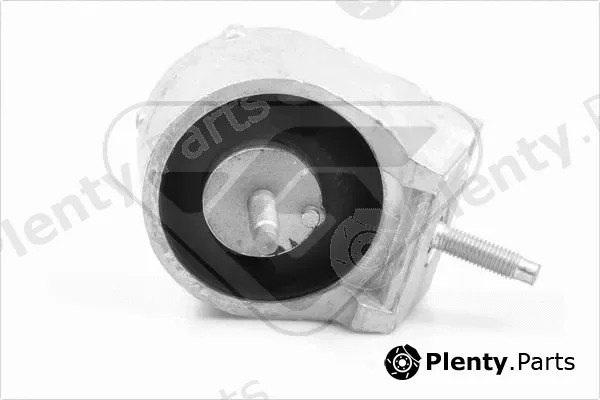 Hutchinson 594114 — Mounting, engine