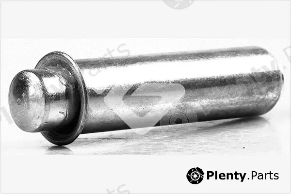 Hutchinson HTG421 — Tensioner Pulley, timing belt