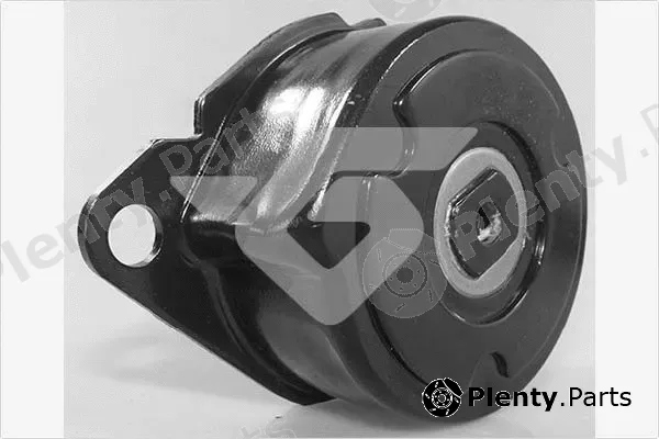 Hutchinson T0676 — Tensioner Pulley, V-ribbed belt