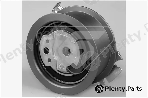 Hutchinson HTG355 — Tensioner Pulley, timing belt