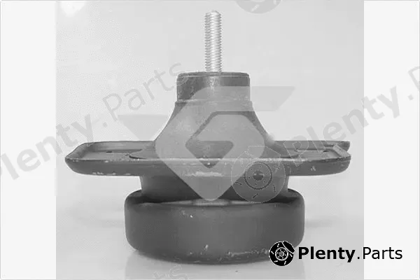 Hutchinson 594509 — Mounting, engine