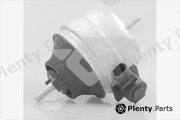 Hutchinson 594533 — Mounting, engine