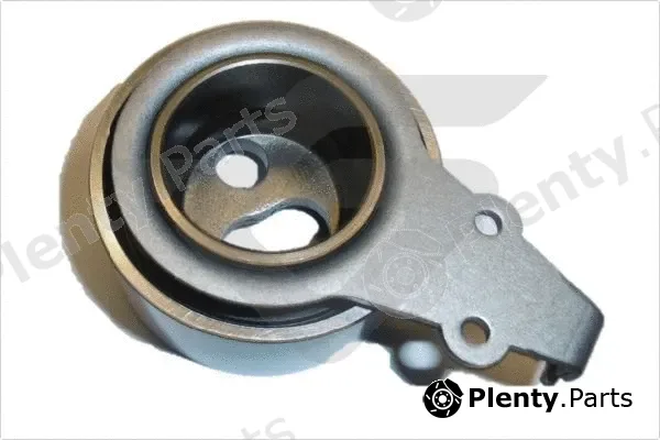 Hutchinson HTG251 — Tensioner Pulley, timing belt