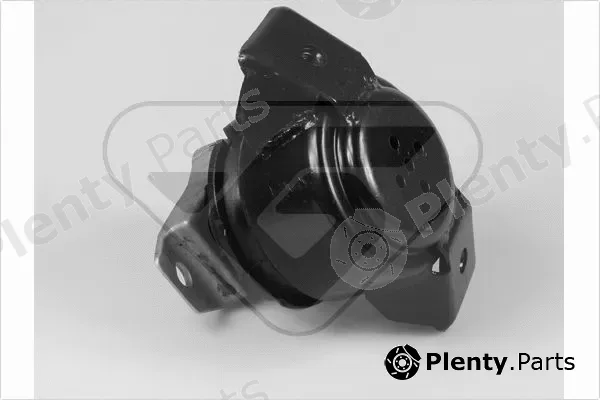Hutchinson 597108 — Mounting, engine