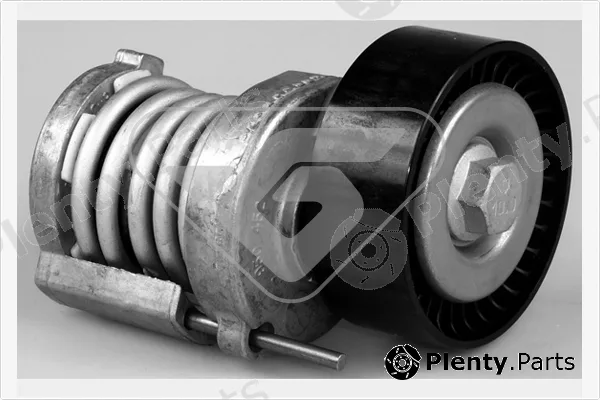 Hutchinson T0248 — Tensioner Pulley, V-ribbed belt