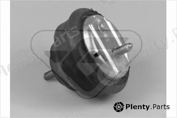 Hutchinson 597023 — Mounting, engine