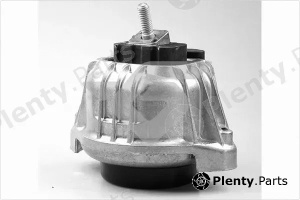 Hutchinson 594494 — Mounting, engine
