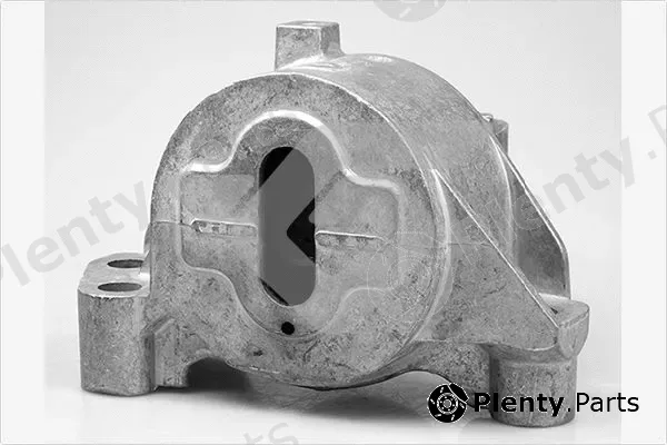Hutchinson 594476 — Mounting, engine