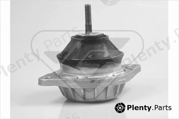 Hutchinson 594258 — Mounting, engine