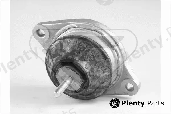 Hutchinson 594326 — Mounting, engine