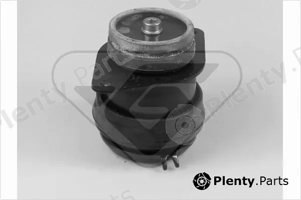 Hutchinson 538298 — Mounting, engine