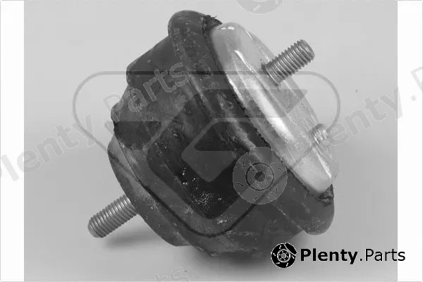 Hutchinson 597017 — Mounting, engine