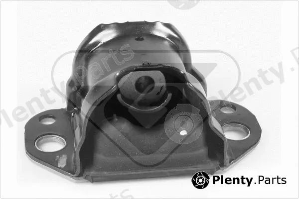 Hutchinson 585038 — Mounting, engine