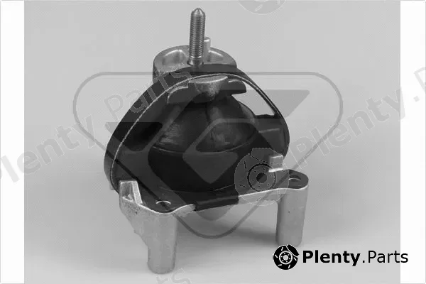 Hutchinson 538780 — Mounting, engine
