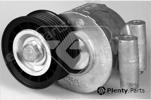 Hutchinson T0316 — Tensioner Pulley, V-ribbed belt