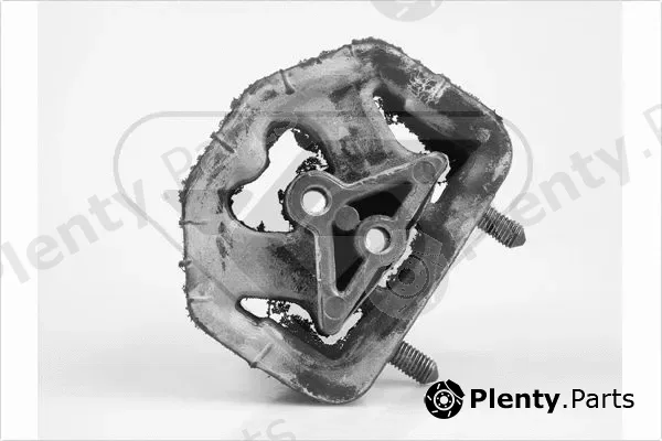 Hutchinson 597122 — Mounting, engine