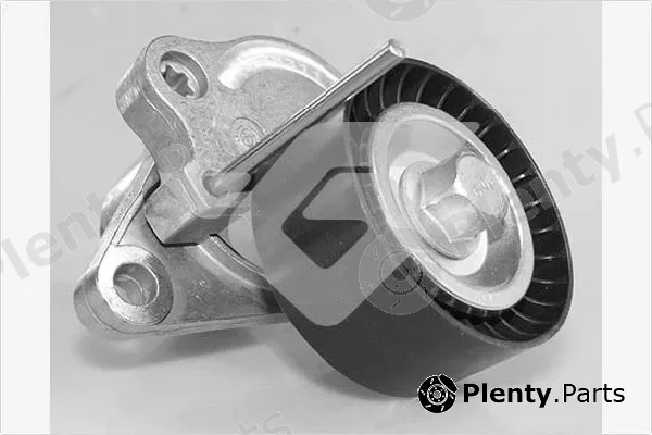 Hutchinson T0632 — Tensioner Pulley, V-ribbed belt