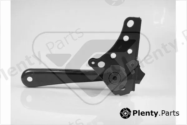 Hutchinson 510189 — Mounting, engine