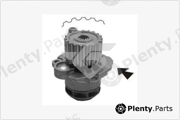 Hutchinson WP71 — Water Pump, engine cooling