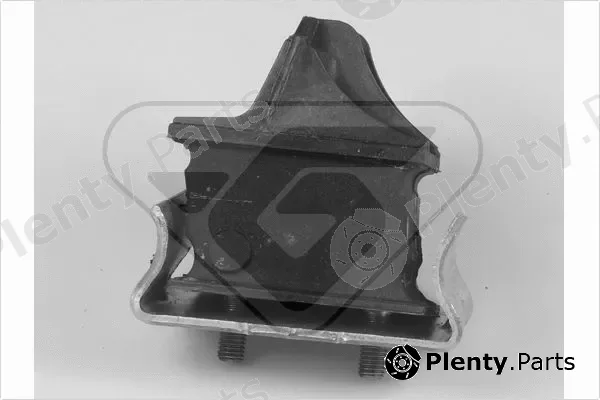 Hutchinson 597133 — Mounting, engine