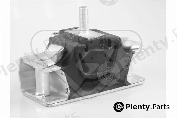 Hutchinson 594298 — Mounting, engine