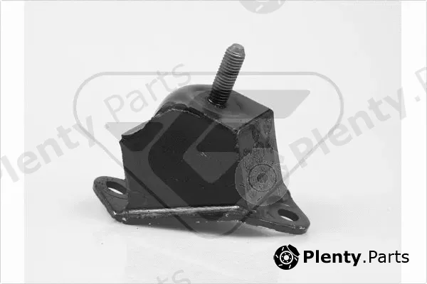 Hutchinson 598005 — Mounting, engine