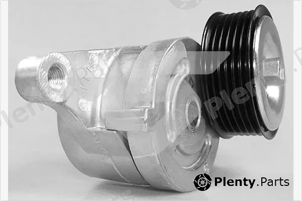 Hutchinson T0496 — Tensioner Pulley, V-ribbed belt