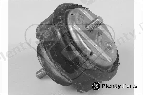 Hutchinson 597049 — Mounting, engine