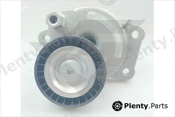 Hutchinson T0706 — Tensioner Pulley, V-ribbed belt