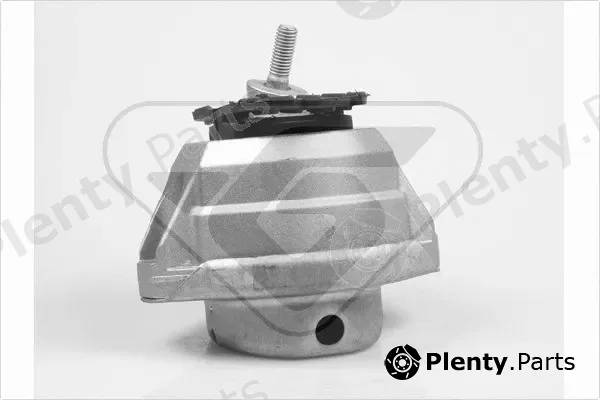 Hutchinson 586295 — Mounting, engine