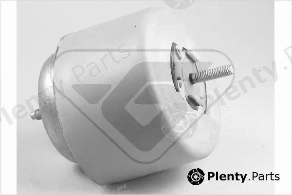 Hutchinson 594348 — Mounting, engine