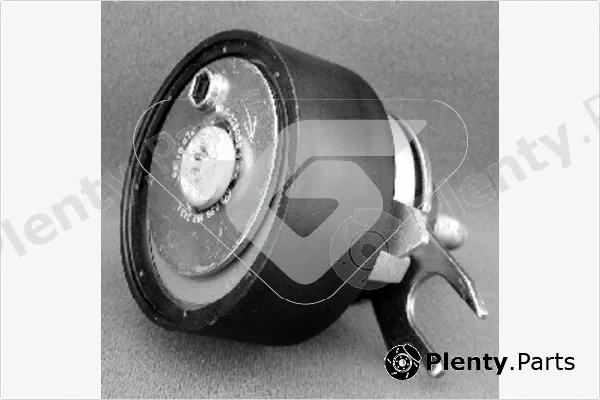 Hutchinson HTG160 — Tensioner Pulley, timing belt
