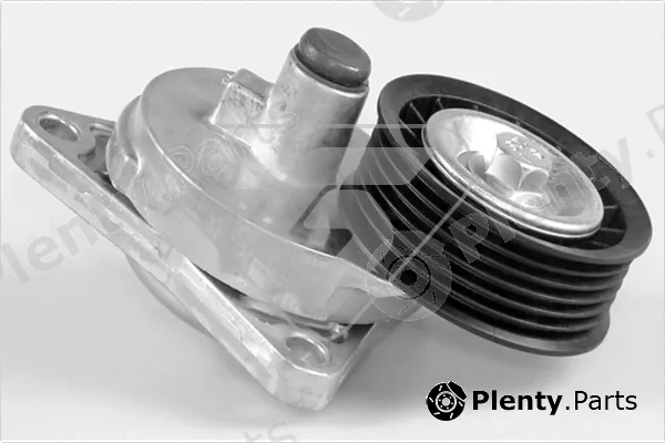 Hutchinson T0313 — Tensioner Pulley, V-ribbed belt