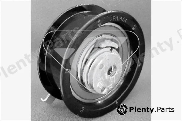 Hutchinson HTG72 — Tensioner Pulley, timing belt