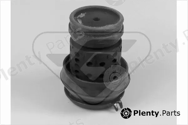 Hutchinson 538319 — Mounting, engine
