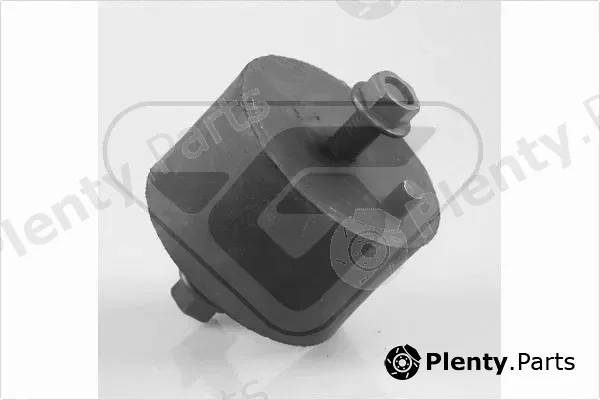 Hutchinson 594289 — Mounting, engine