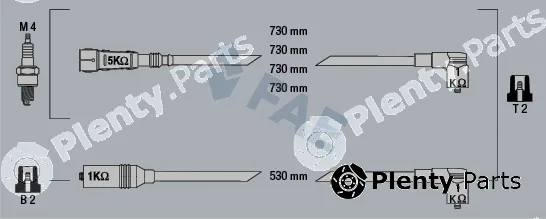 FAE 83979 — Ignition Cable Kit