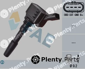 FAE 80238 — Ignition Coil