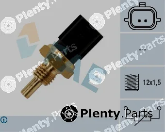 FAE 33840 — Sensor, coolant temperature