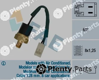 FAE 35855 — Temperature Switch, coolant warning lamp