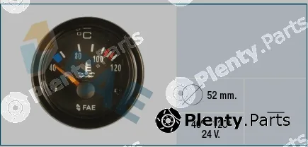 FAE 99580 — Thermometer