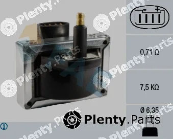 FAE 80263 — Ignition Coil