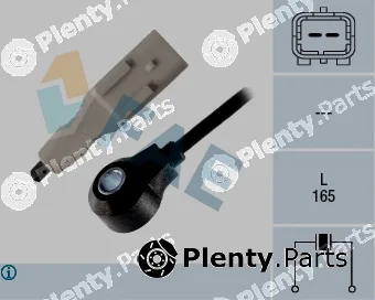 FAE 60249 — Knock Sensor