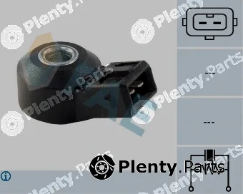 FAE 60100 — Knock Sensor
