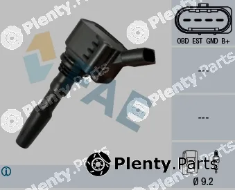 FAE 80249 — Ignition Coil