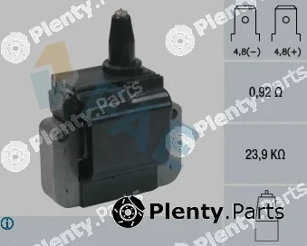 FAE 80250 — Ignition Coil