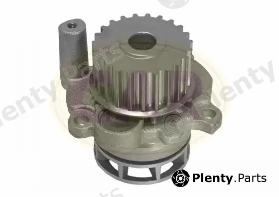 CAR 332585 — Water Pump, engine cooling